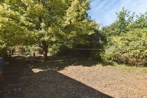 Photo 19- click for photo gallery